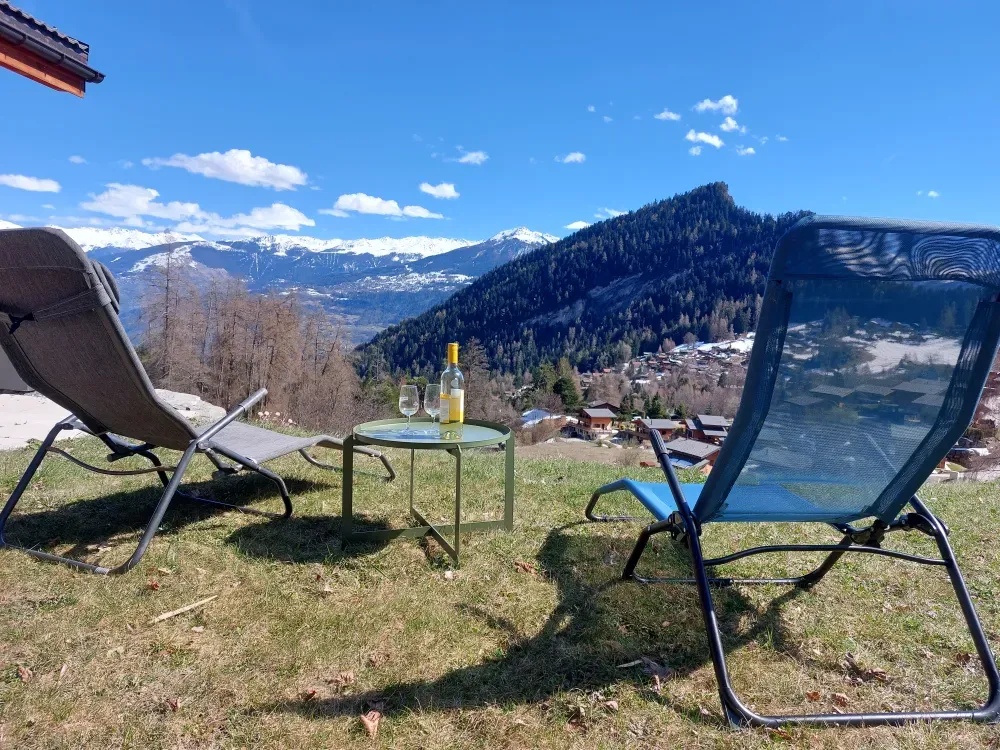 Pelouse avec chaises longues