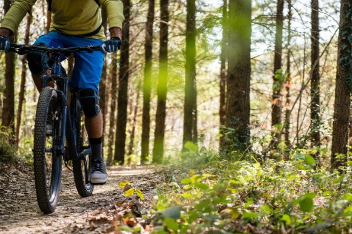 Personne qui fait du VTT dans la forêt